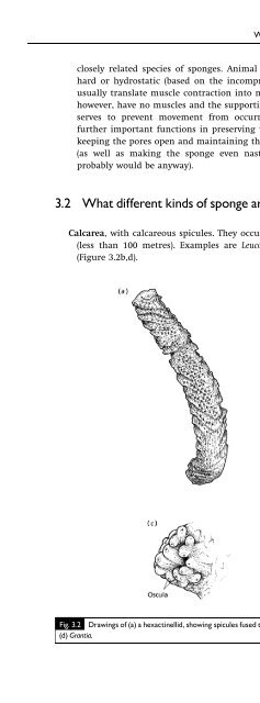 An Introduction to the Invertebrates, Second Edition - tiera.ru