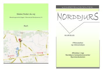 Pjece FRI-modellen og videoanalyse mintgrøn ... - Djurslandsskolen