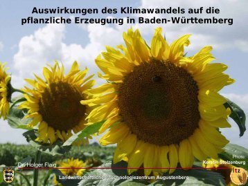 Flaig - Klimawandel und Auswirkungen auf die pflanzliche Erzeugung