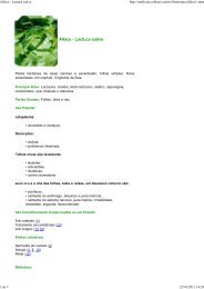 Alface - Lactuca sativa - Medicina Biomolecular