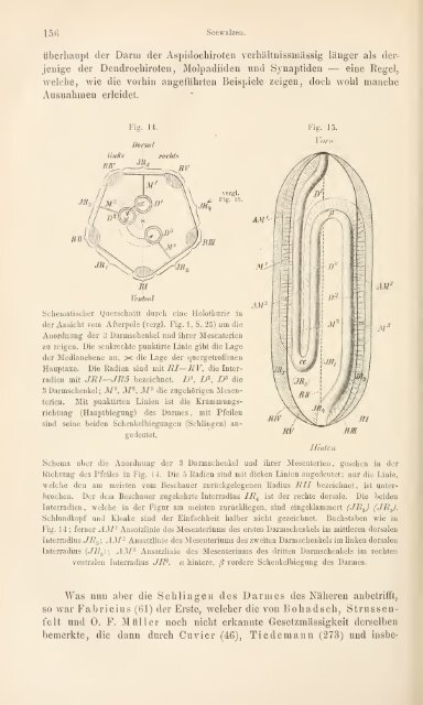 wissenschaftlich dargestellt in Wort und Bild