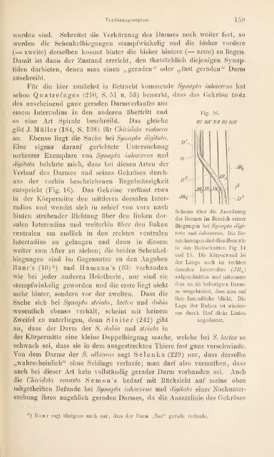 wissenschaftlich dargestellt in Wort und Bild