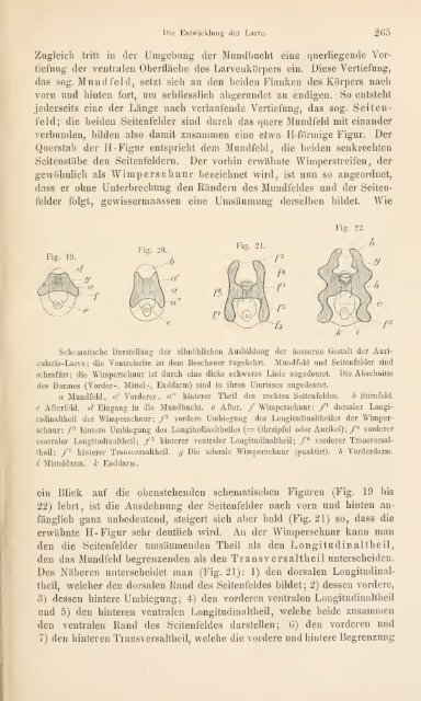 wissenschaftlich dargestellt in Wort und Bild