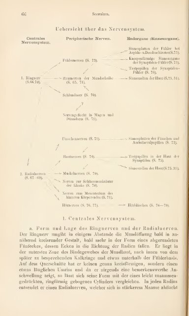 wissenschaftlich dargestellt in Wort und Bild