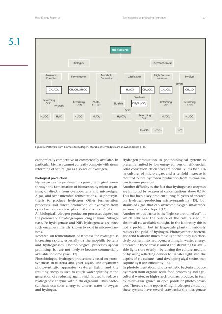 Hydrogen and its competitors, 2004