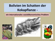 Bolivien im Schatten der Kokapflanze - - des Waffenring Paderborn