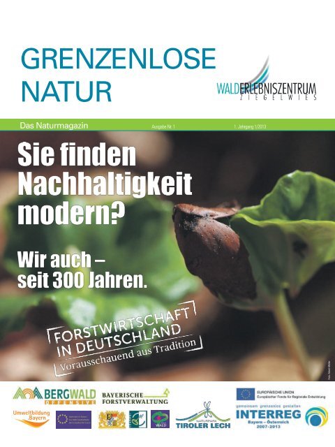 1. Ausgabe Naturpark Magazin - Walderlebniszentrum Ziegelwies