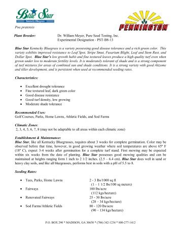 Technical Sheet for Blue Star Kentucky Bluegrass - Pennington Seed