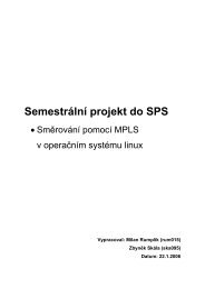 MPLS-Linux-Skala-Rumplik.pdf