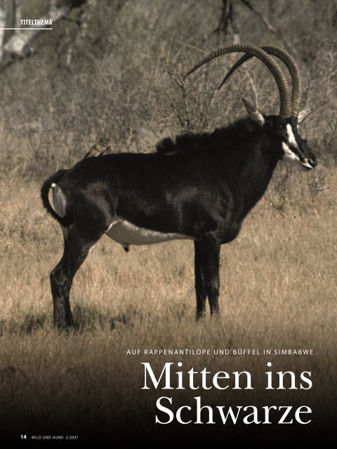 TITELTHEMA - Wild und Hund