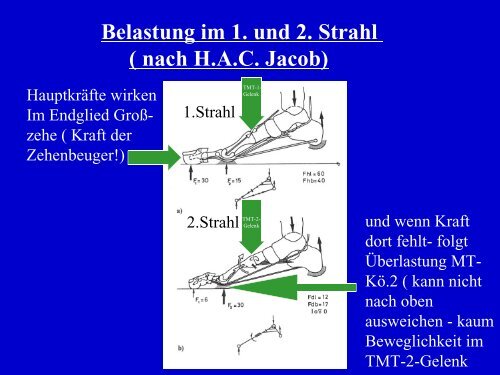 Fusschirurgie-Patienteninfo - Dr. med. Eckhardt Krieger