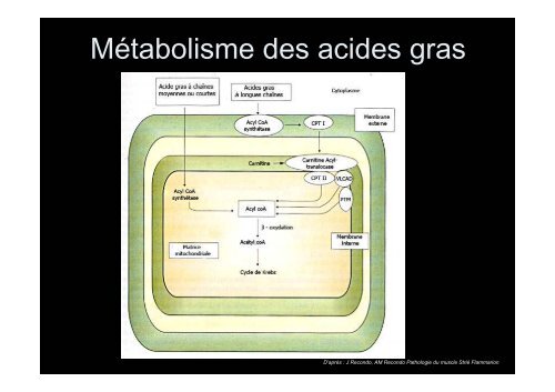 Crampes et Fatigues - Pierre Kaminsky