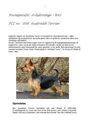 Australsk Terrier - Dansk Terrier Klub