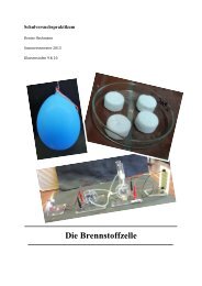 Die Brennstoffzelle - Unterrichtsmaterialien Chemie