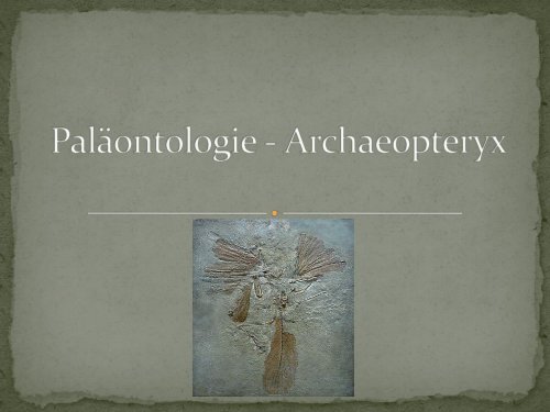 Paläontologie - Archaeopteryx