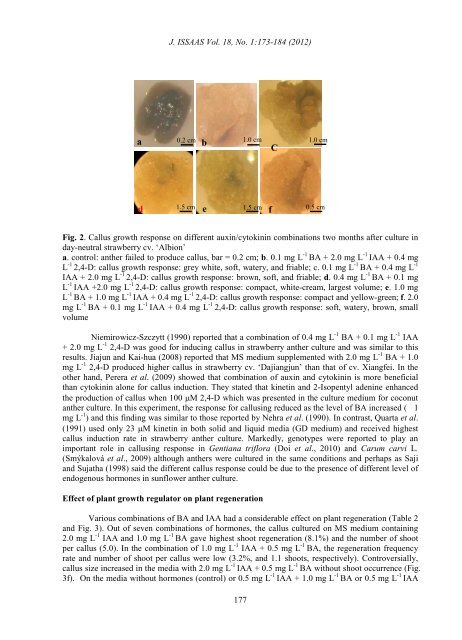 Haploid plant production through anther culture in day-neutral