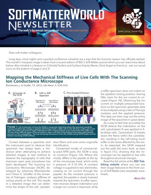 Mapping the Mechanical Stiffness of Live Cells ... - Soft Matter World