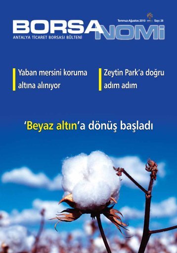 'Beyaz altın'a dönüş başladı - Antalya Ticaret Borsası