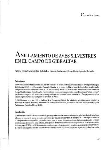 Anillamiento de aves silvestres en el Campo de Gibraltar