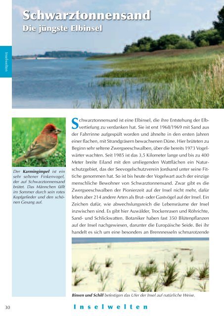 Natur erleben im Landkreis Stade - Landschaft zwischen Elbe und ...