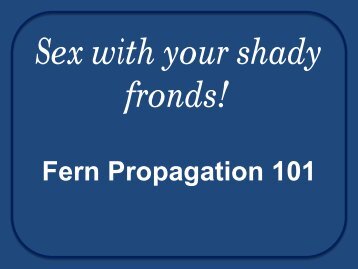 Sex with your shady fronds!