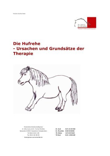 Die Hufrehe - Ursachen und Grundsätze der Therapie