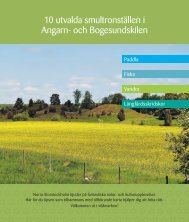 10 utvalda smultronställen i Angarn- och Bogesundskilen - Täby