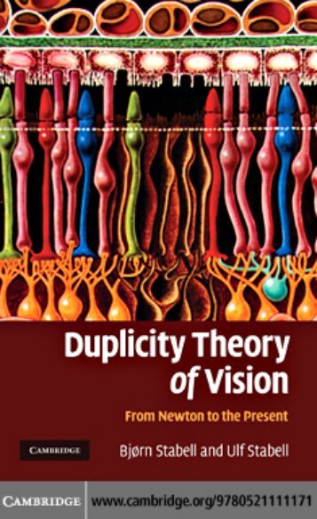 Duplicity Theory of Vision: From Newton to the Present