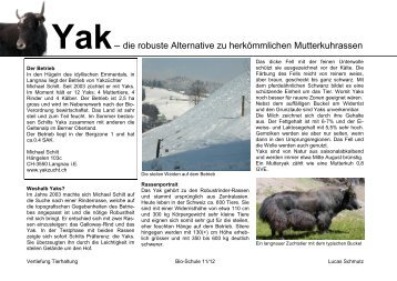 Yakhaltung - Bio-Schule.ch