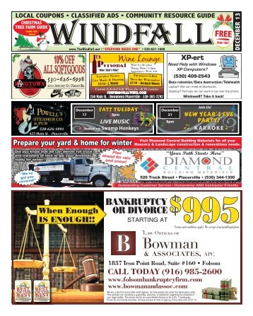 Download PDF - The Windfall