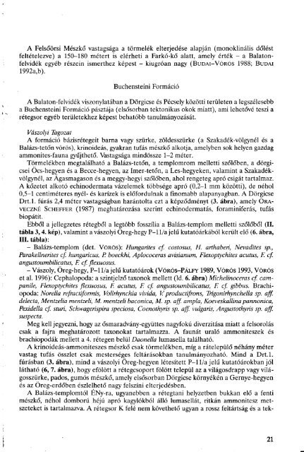 letölthető pdf - Bakonyi Természettudományi Múzeum