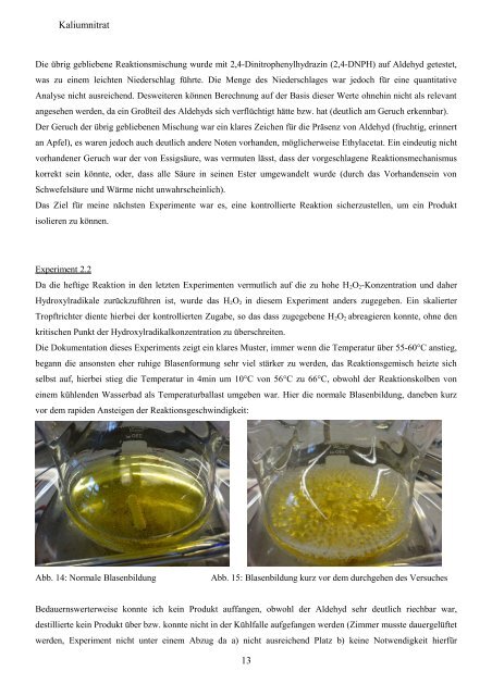 Radikalische Oxidation eines primären Alkohols unter Einfluss von ...