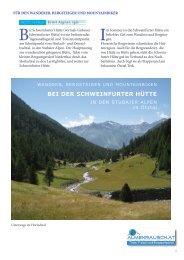 BEI DER SCHWEINFURTER HÜTTE - Almenrausch