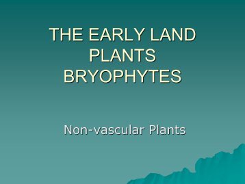 THE EARLY LAND PLANTS BRYOPHYTES