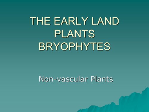 THE EARLY LAND PLANTS BRYOPHYTES