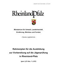 Rahmenplan - Landesforsten Rheinland-Pfalz