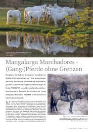 Mangalarga Marchadores - (Gang-)Pferde ohne Grenzen - EAMM