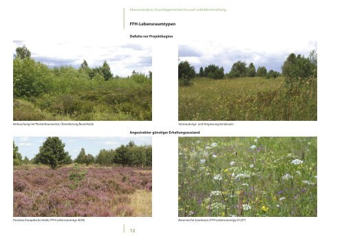 Praxisleitfaden Oranienbaumer Heide - Offenlandinfo.de