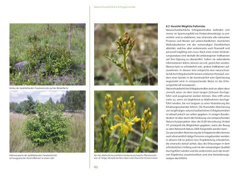 Praxisleitfaden Oranienbaumer Heide - Offenlandinfo.de