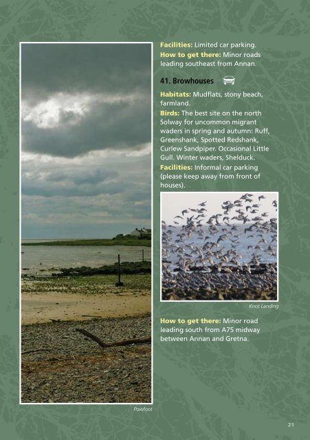 Birdwatching in Dumfries & Galloway - The Scottish Ornithologists ...
