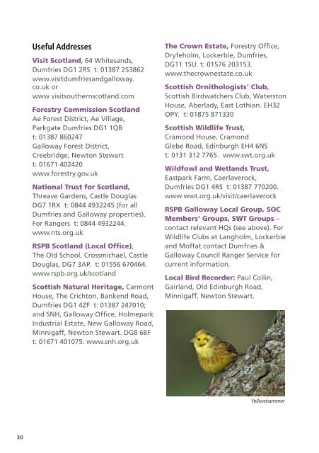 Birdwatching in Dumfries & Galloway - The Scottish Ornithologists ...