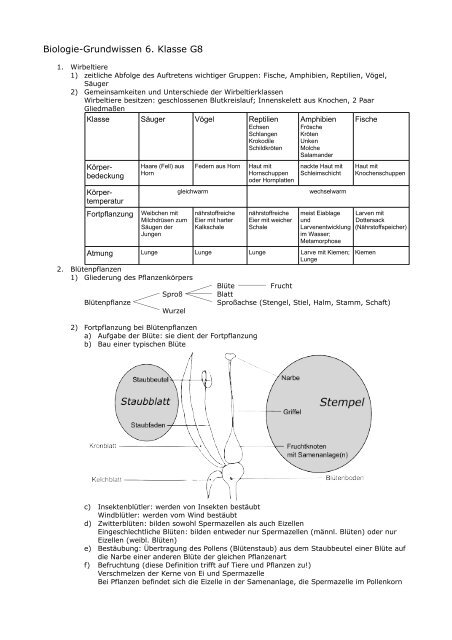 Biologie-Grundwissen 6. Klasse G8