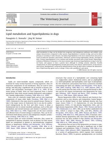 Lipid metabolism and hyperlipidemia in dogs