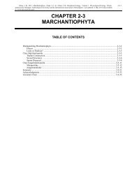 Chapter 2-3 Marchantiophyta - Bryophyte Ecology - Michigan ...