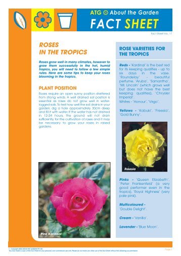 Roses for the Tropics - About The Garden Magazine
