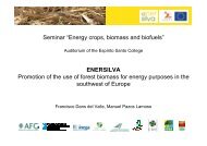 Seminar “Energy crops, biomass and biofuels” ENERSILVA ...