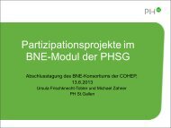 Partizipationsprojekte im BNE-Modul der PHSG