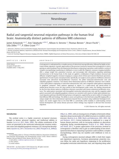 Radial and tangential neuronal migration pathways in ... - FreeSurfer