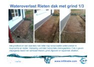 Wateroverlast Rieten dak met grind 1/3 www.infiltratie.com