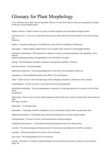 Glossary for Plant Morphology